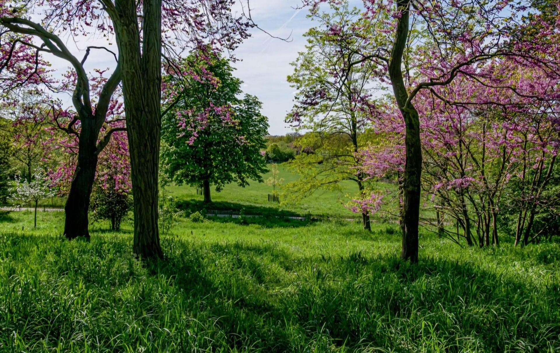 Parc Lagravere, Haut de Seine