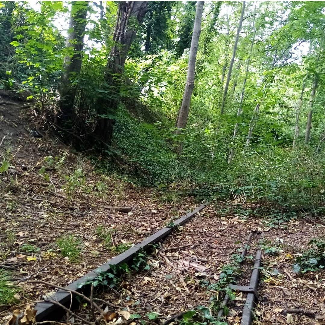 Coulée Verte de Colombes et Bois Colombes